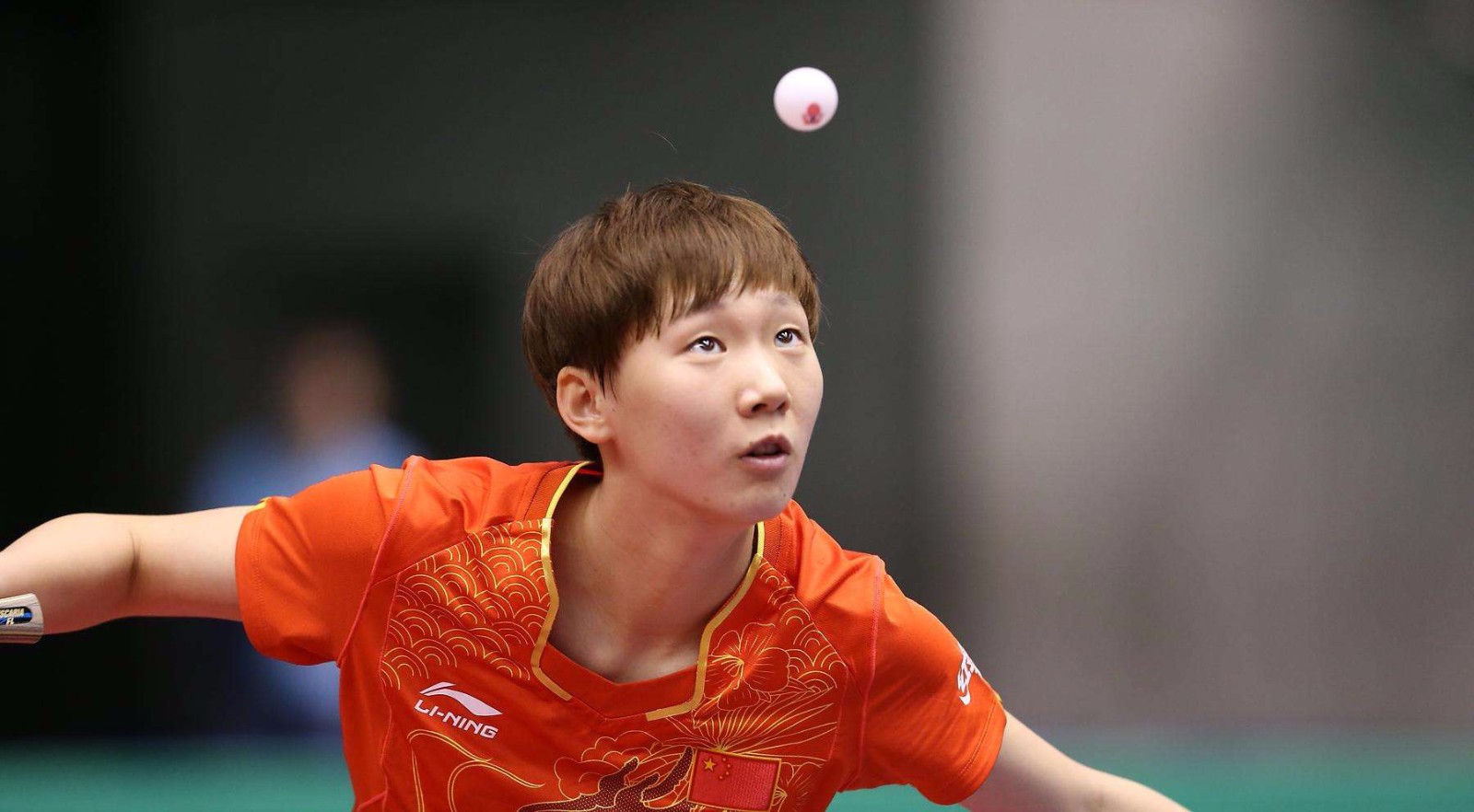 带来新的转 带来新的转