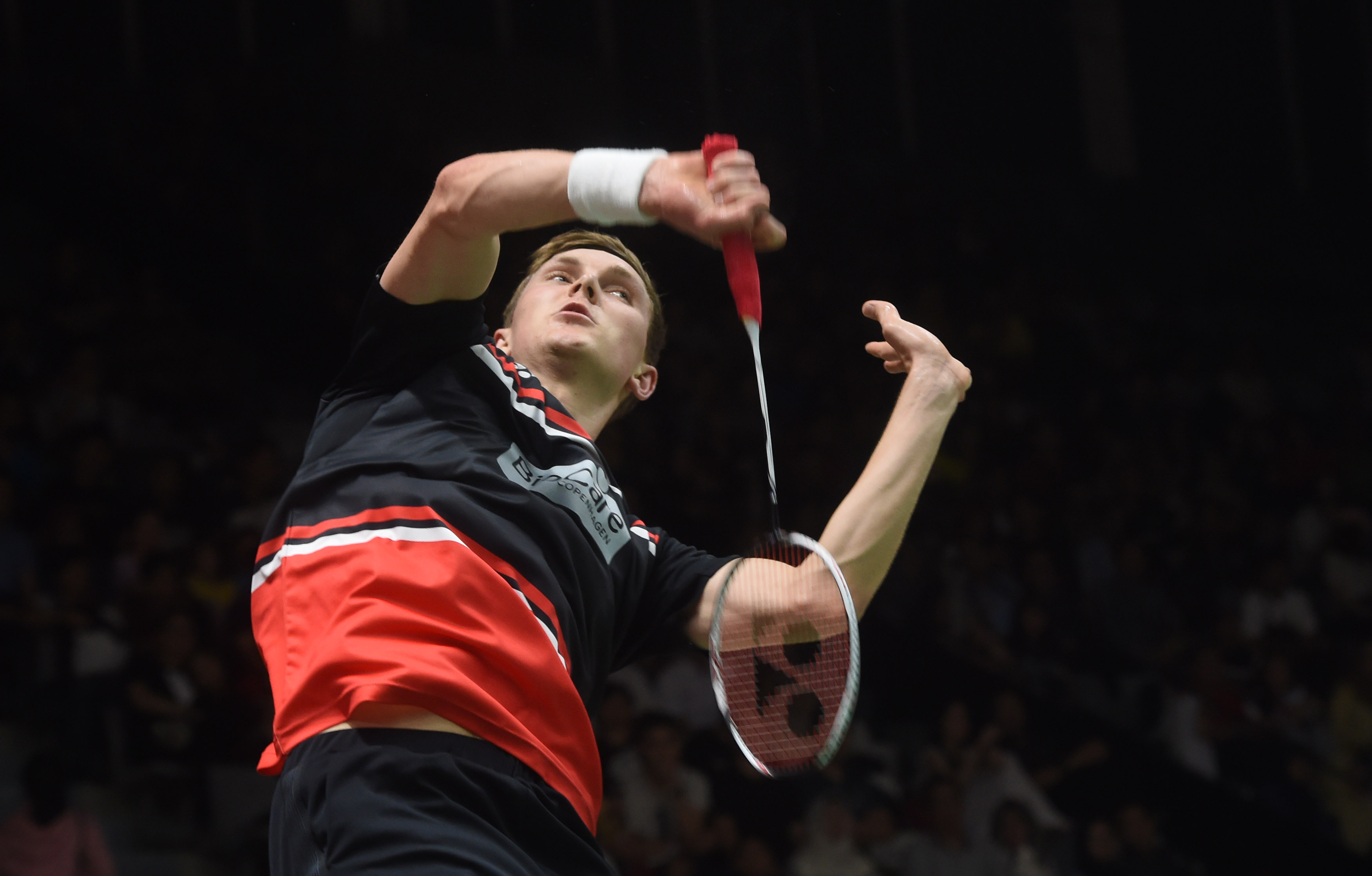 再快速引进 再快速引进